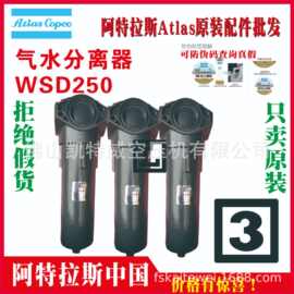 WSD80 WSD25 WSD250 WSD750气水分离器总成 Copco