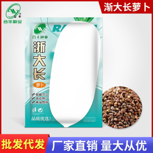 ����L���}���N��15g �ļ����y���}���N���_���N���߲��яS�����l
