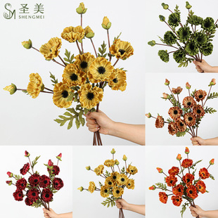 ���Sֱ�N���y���ڷ��滨�ָмٻ���c�Ҿ��bzӰ�������廨�쾰