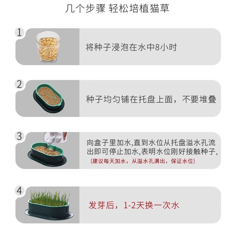 Plato de vivero de semillas en maceta de pasto para gatos, plantación perezosa, pasto para gatos hidropónico sin suelo, pasto para gatos, semillas de trigo, bocadillos