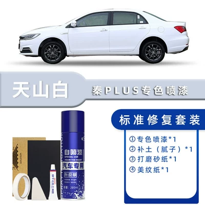 Byd Qin Plus Self-Painting Touch-Up Avtomobil boya qələmləri - color-classification-tianshan-white-standard-restoration-send-soil-simple-tools