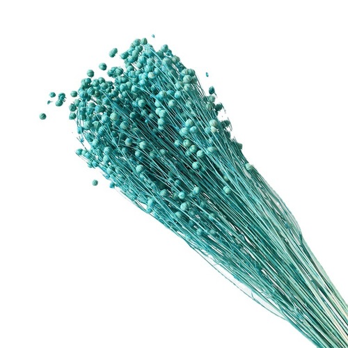 Eternal flowers, love beans, wealth beans, flax seeds, sesame seeds, Yunnan direct sales flower arrangement, dried flowers, home decoration