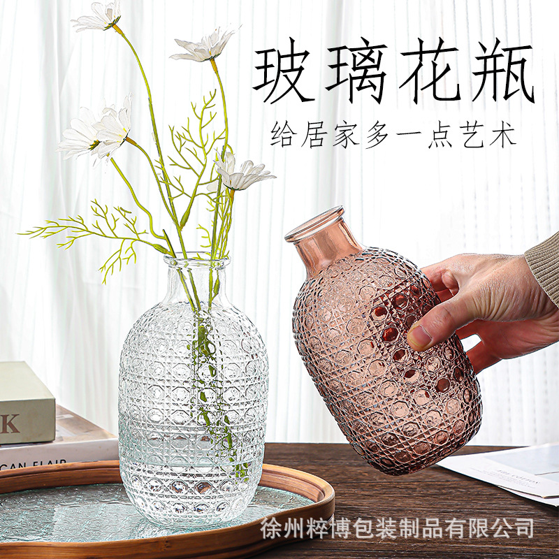 欧式简约玻璃花瓶创意透明花瓶鲜花干花家居客厅装饰水培花瓶摆件