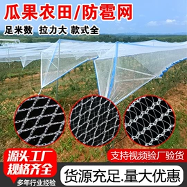 其他安全网;安全平网;井盖网