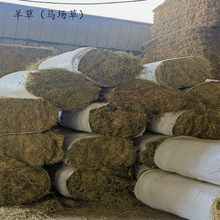 干草捆 羊草农业级羊草料牧草捆草料批发动物园干草饲料原料