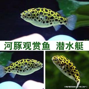 �����~�羳С�ɿ����Ꭷ�~�^�p�~���ﵭˮ�~���ݺ����~�S��ֱ�N