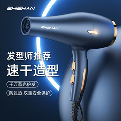 ドイツ電気ドライヤー家庭用ハイパワーヘアサロン専用理髪店3500wマイナスイオンヘアケア速乾風筒