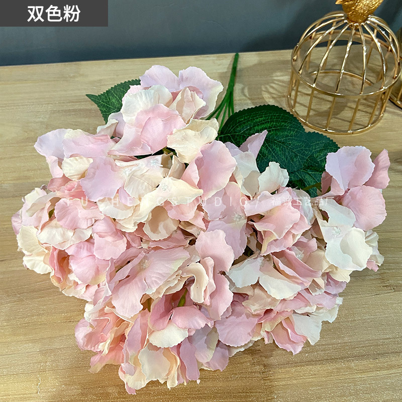 Two-color powder (5 beams per color, less shots, no hair)