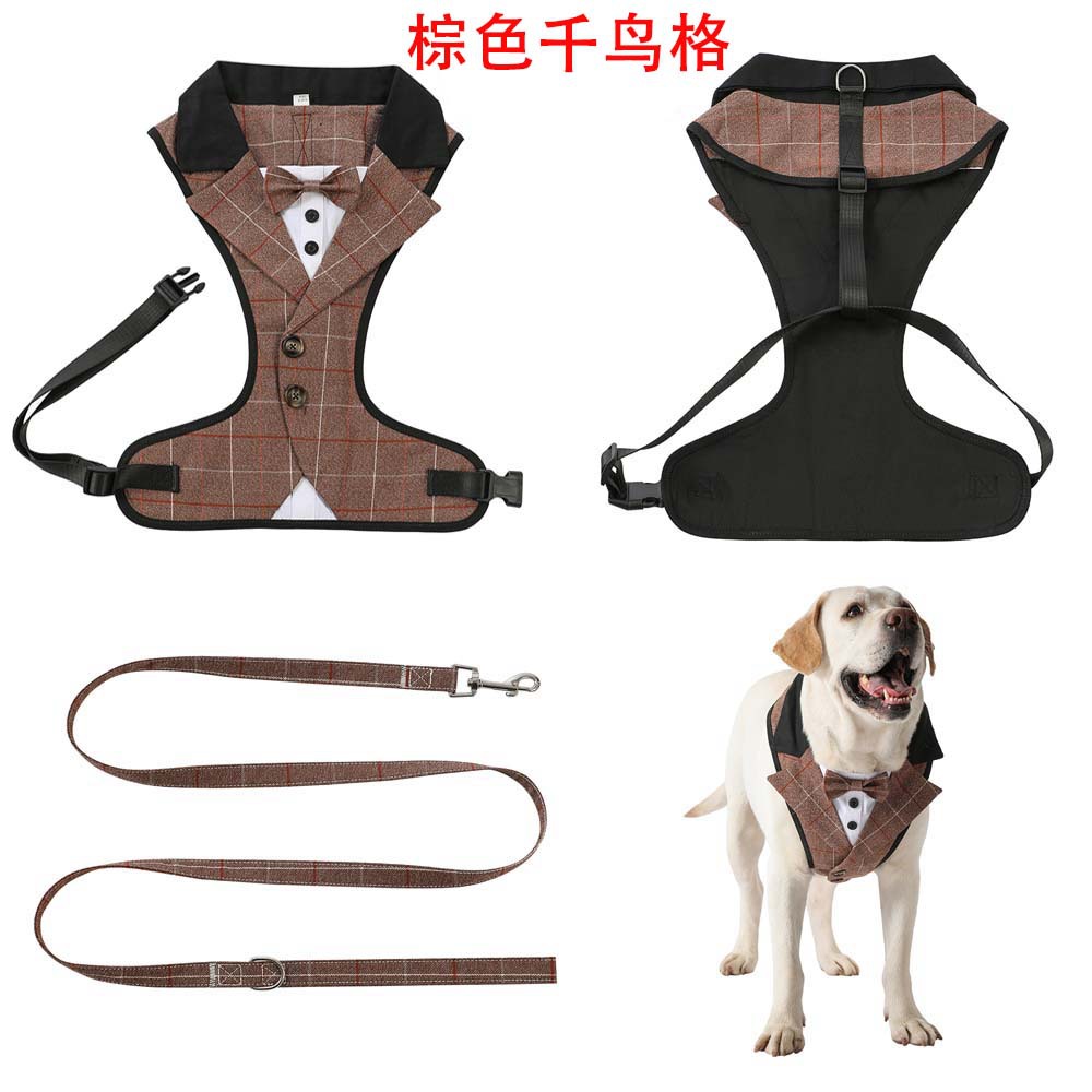 브라운 물떼새 격자