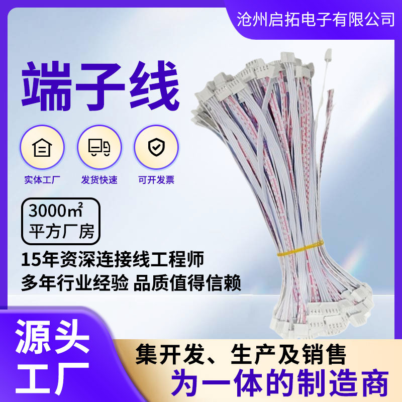 XH2.54端子线2468排线端子连接线红白排线机器内部连接线端子线