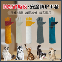 �Ӻ������˺ҧ����؈ץţƤӖ��Ȯ��ҧ���LţƤ���o�������l