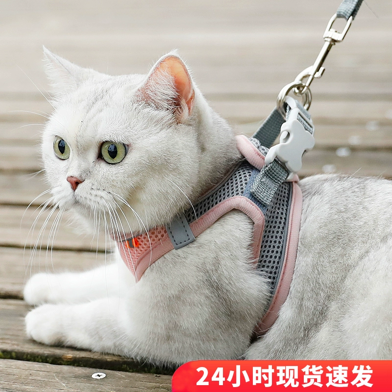 Кошачий буксирный трос, чтобы не вырваться из кошачьей веревки, чтобы выйти весной и летом