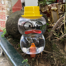 �¿�ɐ�����С���ԄӝBˮ������ֲ��������Եι���������ˮ����