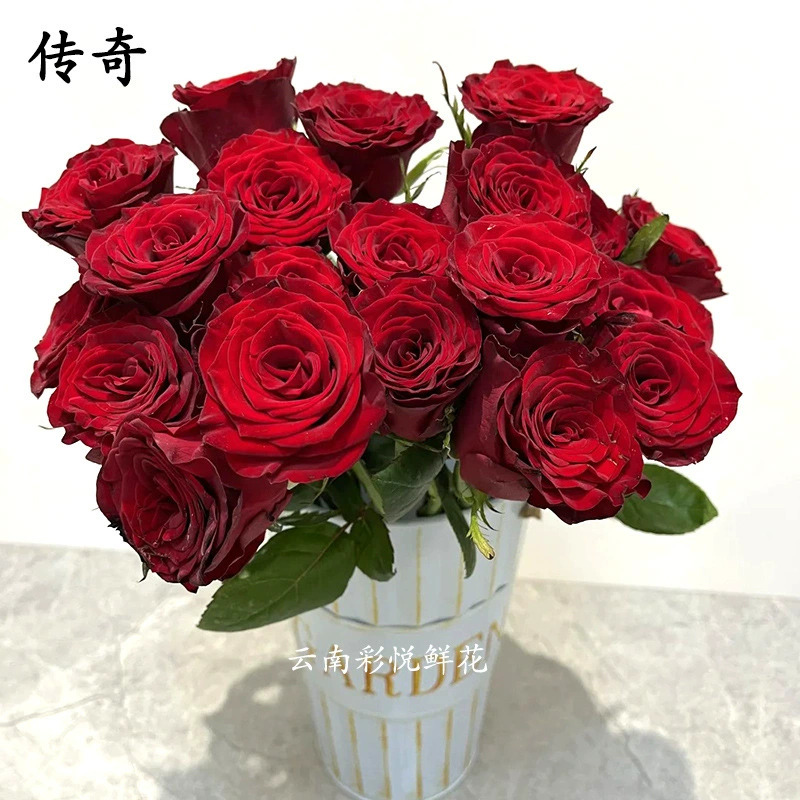 [Легендарная Роза AB Grade] 520 Куньмин Цветочная база из Свежесрезанных роз оптом Прямо для свадьбы цветочного магазина