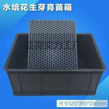 �Ӻ����Ϻ�ɫˮ���仨��ѿ���ÿ��߲˷Nֲ����P�����A�ײ��Nֲ��