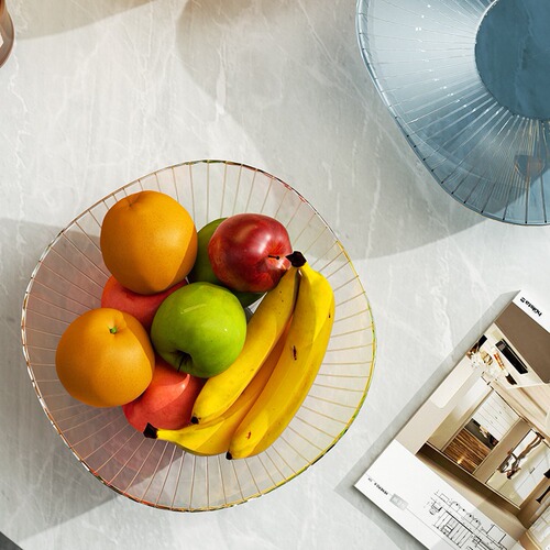 New trending pet fruit tray for living room coffee table, home use simple European style creative sunflower seed candy dried fruit snack plate