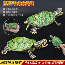 仿真实心巴西龟陆龟模型玩具象龟苏卡达宠物乌龟星龟摆件儿童礼物