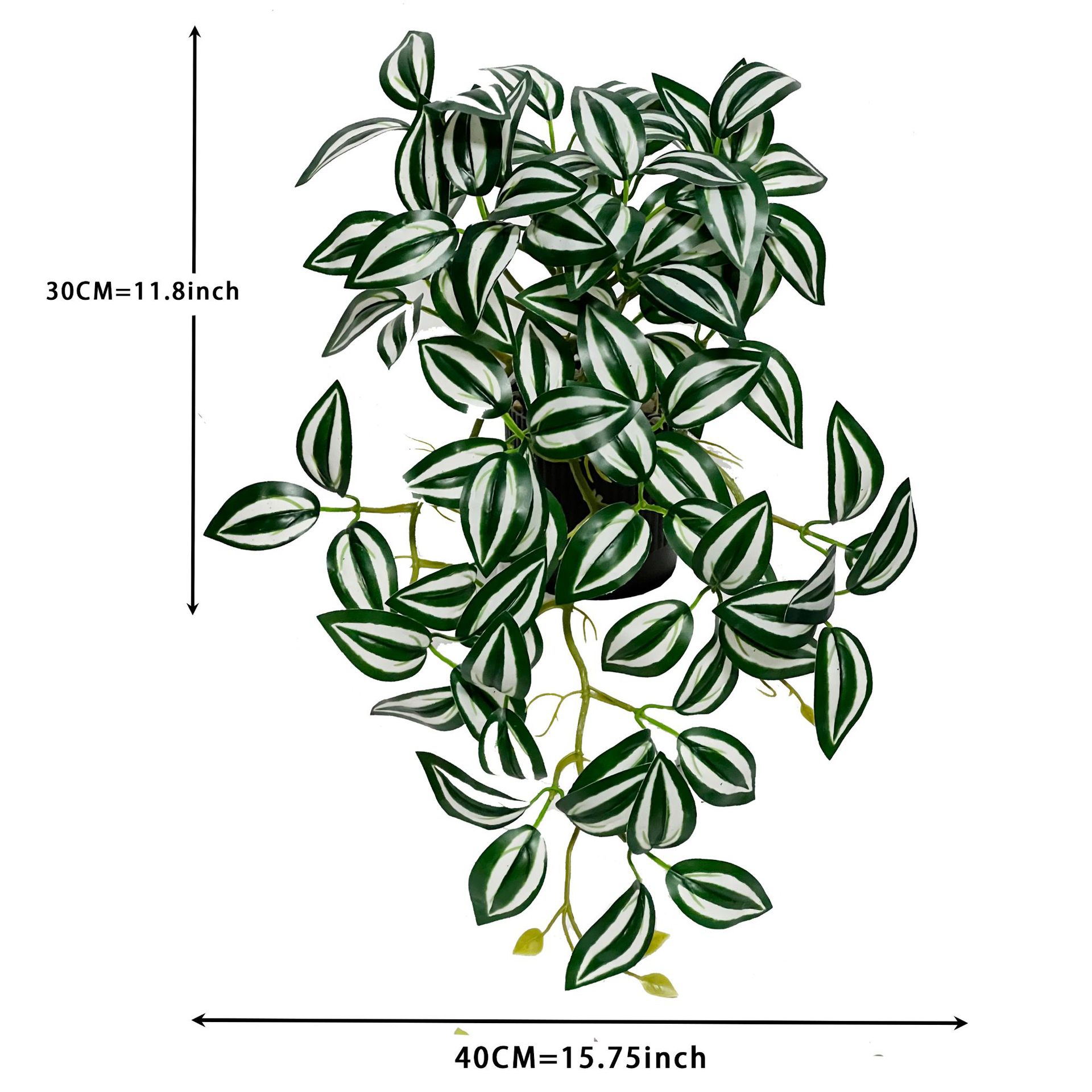 White hanging bamboo plum