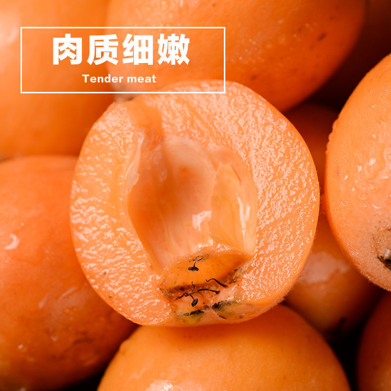 Loquat fresh Yunnan Fresh fruit pregnant woman fruit wild Miyi Loquat paste leaf One piece On behalf of