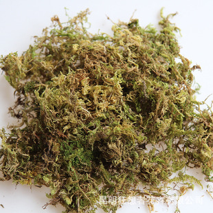 ������̦�\�ɻ�ɭϵins���W�L��Ȼ�ɻ���޹���DIY���ϼҾ��b�