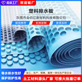 广东HDPE疏水板凹凸型车库地下室顶底板双面塑料排水 板厂家批发