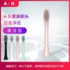 A-8 brush head [pink]
