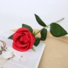 Lover Rose--Red
