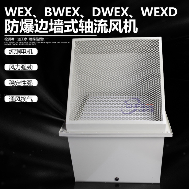 BWEX DWEX WEXD explosion-proof The side wall Fan WEX-250D4/E4 220V/380V Axial flow fan