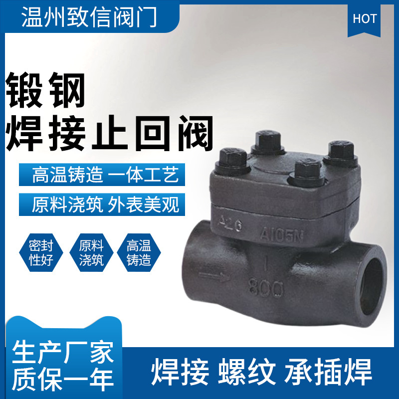 锻钢焊接止回阀 螺纹 H64H/H14H-16/25/40/64/100A105 F304 F316L