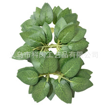 50Ƭһ������õ���~����õ�廨�~�zӡ�����~���������~�羳����