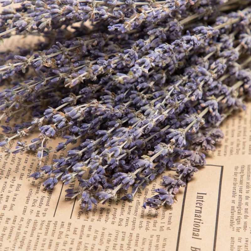 Lavender decorations, wholesale, Amazon