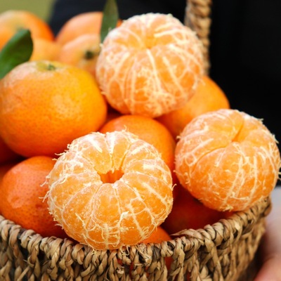 广西砂糖橘现摘5斤 产地直发 清甜多汁无渣新鲜柑橘水果 一件代发