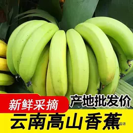 其他药食同源;花果茶;普洱茶