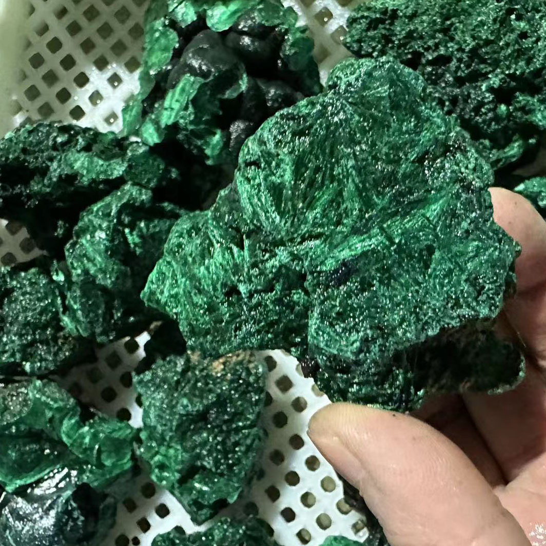 微信图片_20230203195249