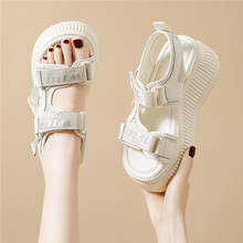 һ�֎�ħ�g�N��ĸ���2025�¿��ļ��ɸ����ߵ��\���_�R��Ь����Ь