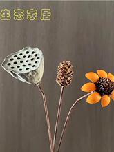 ��Ȼ�ɻ����������ȼ����޻��ɹ�ɏ��diy���������ϼҾ��b[��