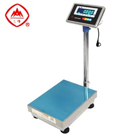 其他仪器仪表;台秤