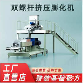 自熟米生产线 休闲锅巴切断加工设备 代餐粉双螺杆膨化机