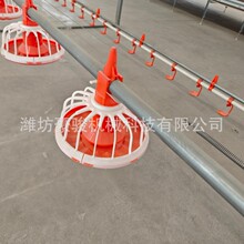 禽用自动喂料线绞龙式养鸡鸭鹅上料系统镀锌料管料盘定量料线厂家