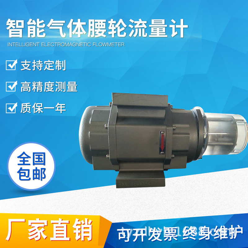 厂家直销气体罗茨流量计 气体腰轮流量计 天然气 煤气 沼气 空气