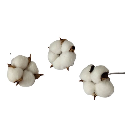 仿真棉花 diy家居装饰品 人造假花干花 摄影拍摄道具节日礼品可定