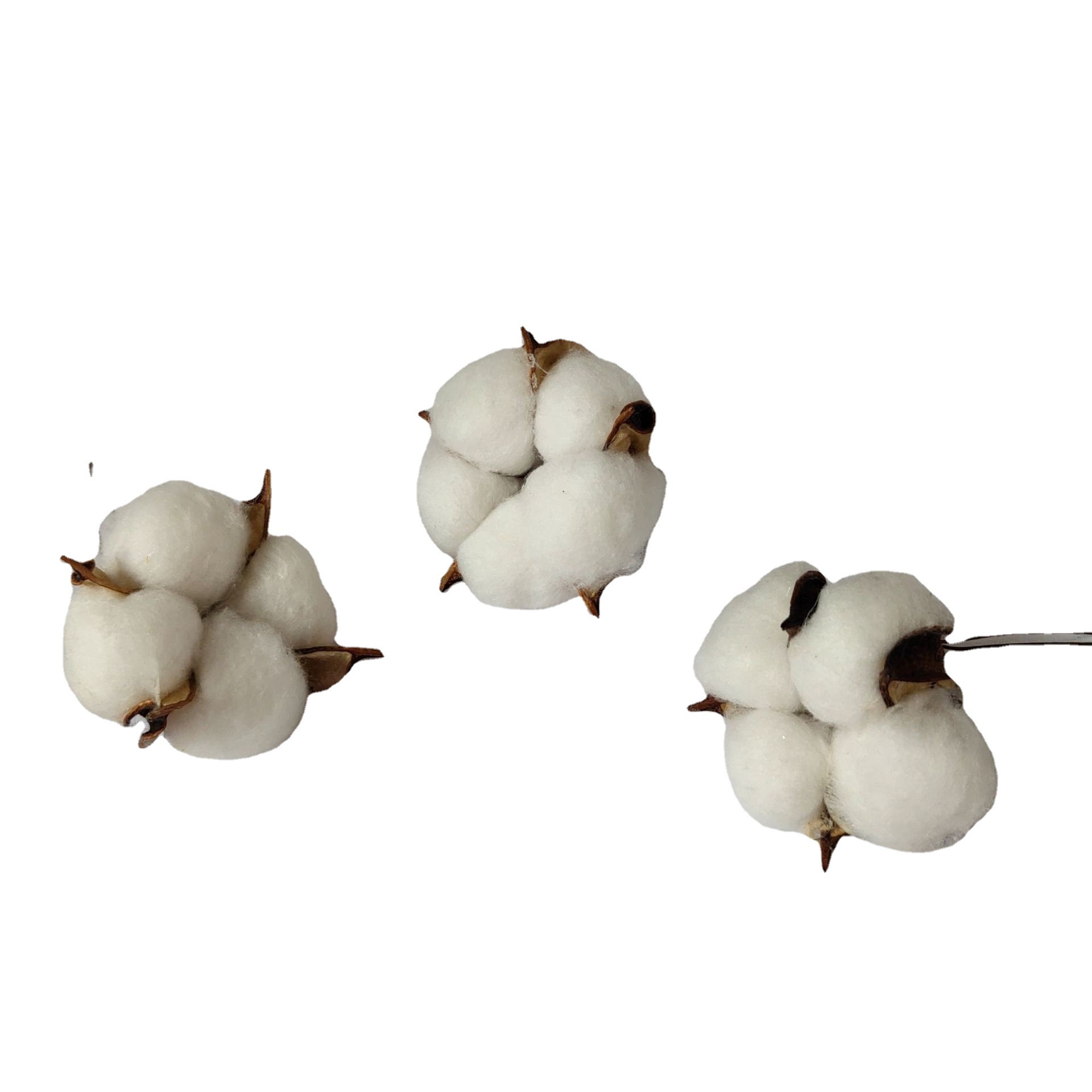 仿真棉花 diy家居装饰品 人造假花干花 摄影拍摄道具节日礼品可定