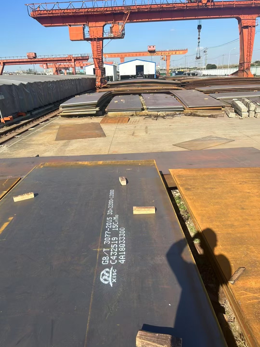 微信图片_20250116222336