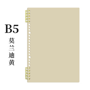 B5 쉘/모란디 옐로우