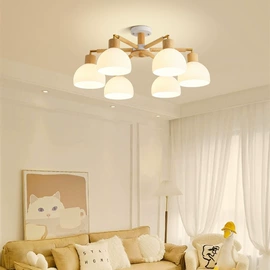 吊灯;室内壁灯;吸顶灯