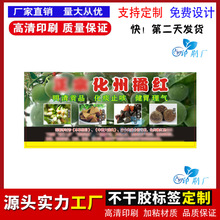 定做化州橘红中药花茶包装八仙果铜版纸不干胶标签罐装贴纸彩色印