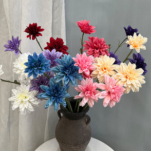 ��c���滨3�^�\������������ĵ���Ƶ��̈��zӰ��Y�b廨����