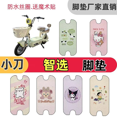 Electric vehicle foot mat special wire loop floor mats