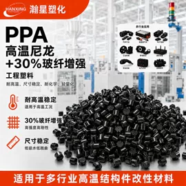 PA6;PA66;PPA