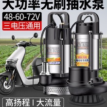 ���]�oˢֱ����ˮ��48v60v72v늄�܇�ƿ܇���ó�ˮ�Ý����r�ù�